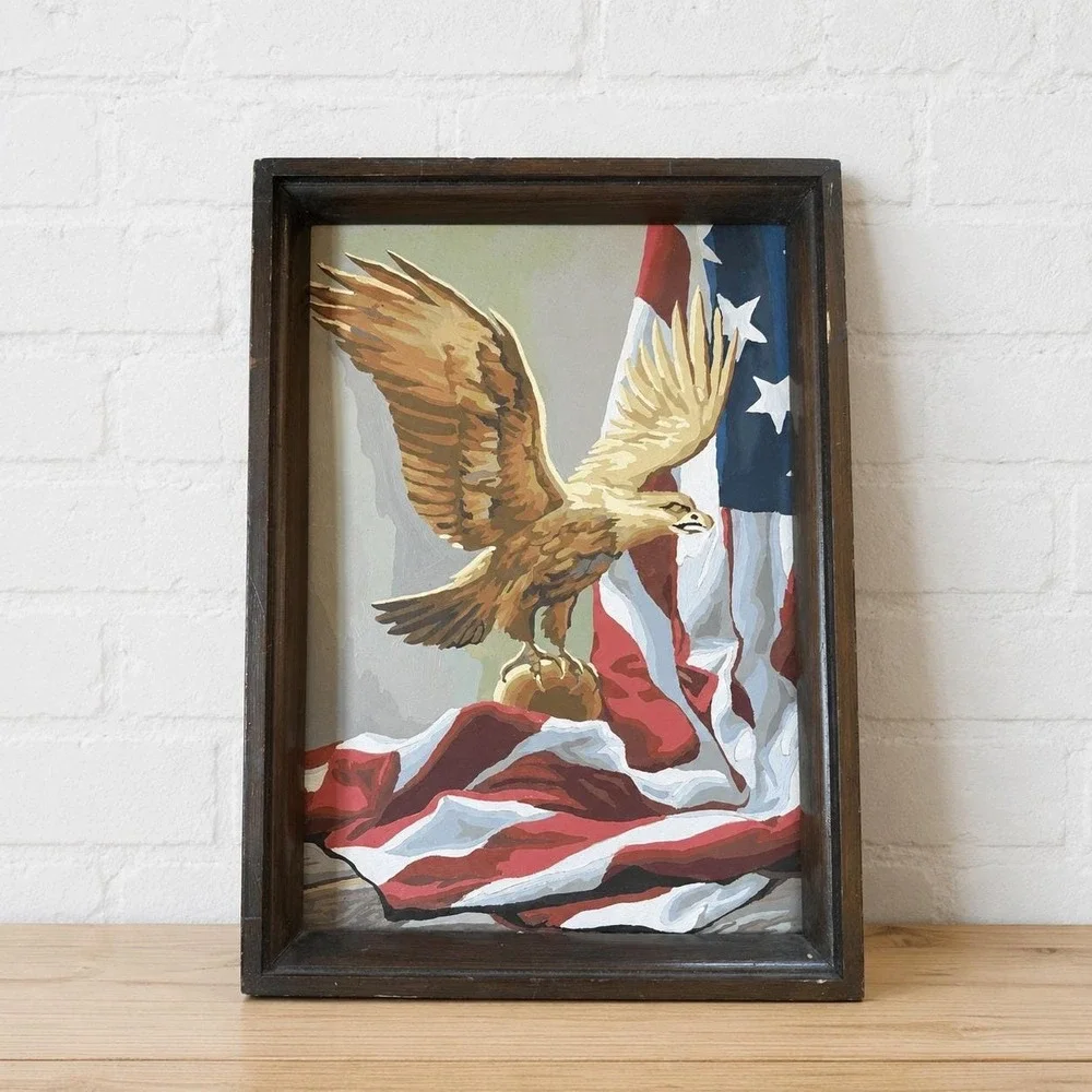 Vintage 1970s Paint by Number Eagle Flag Painting - Framed Americana Folk Art